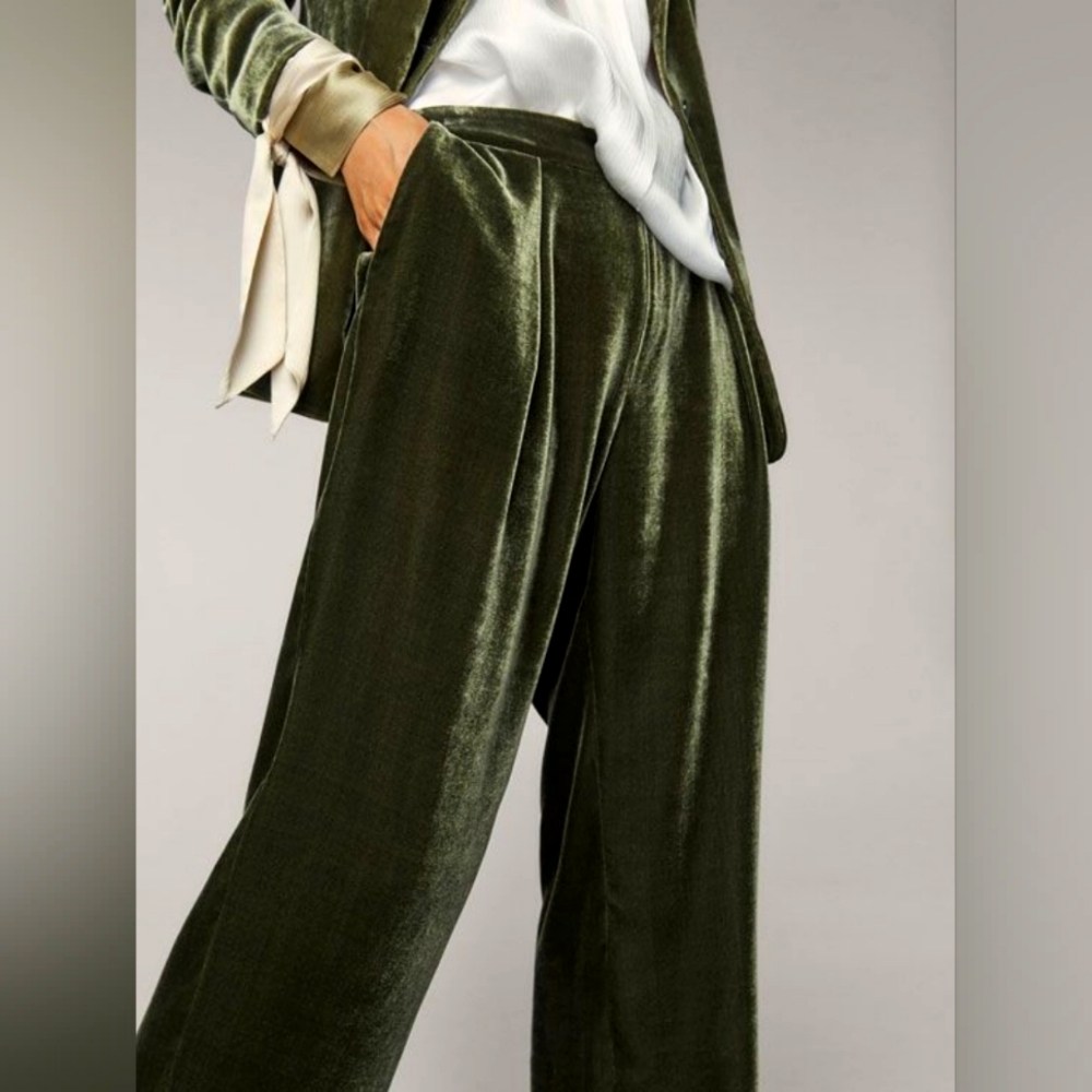 Massimo dutti velour velvet pleated trousers